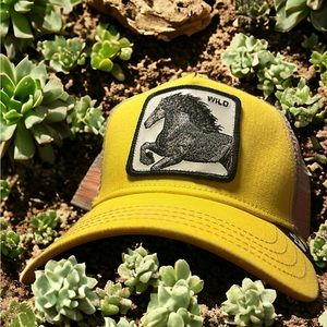 Goorin Bros The Farm Animal Trucker THE WILD STALLION Yellow Horse Snapback